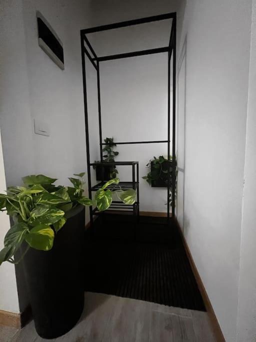 Guest House Мерано Екстер'єр фото